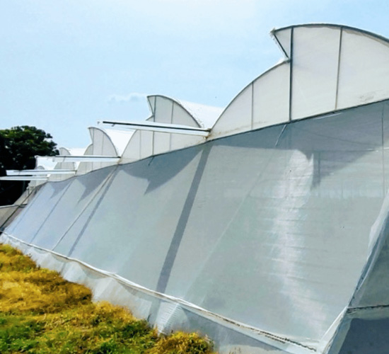 Poly House Structures